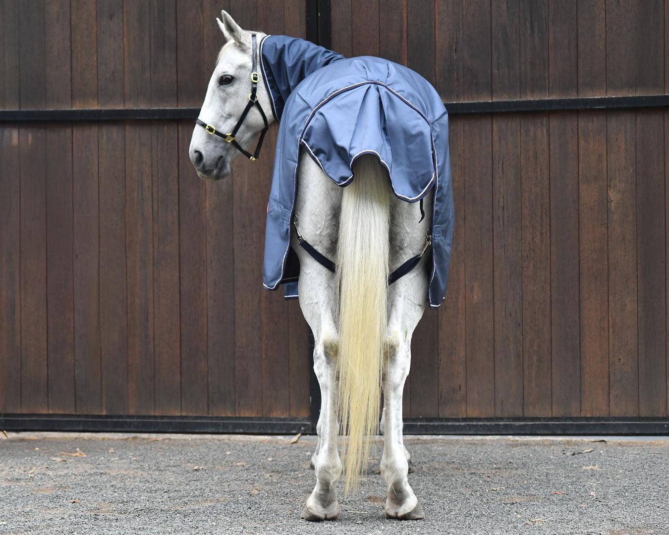 Kozy 1680D Nylon Horse Rug Combo - Navy/Brown - Image 5