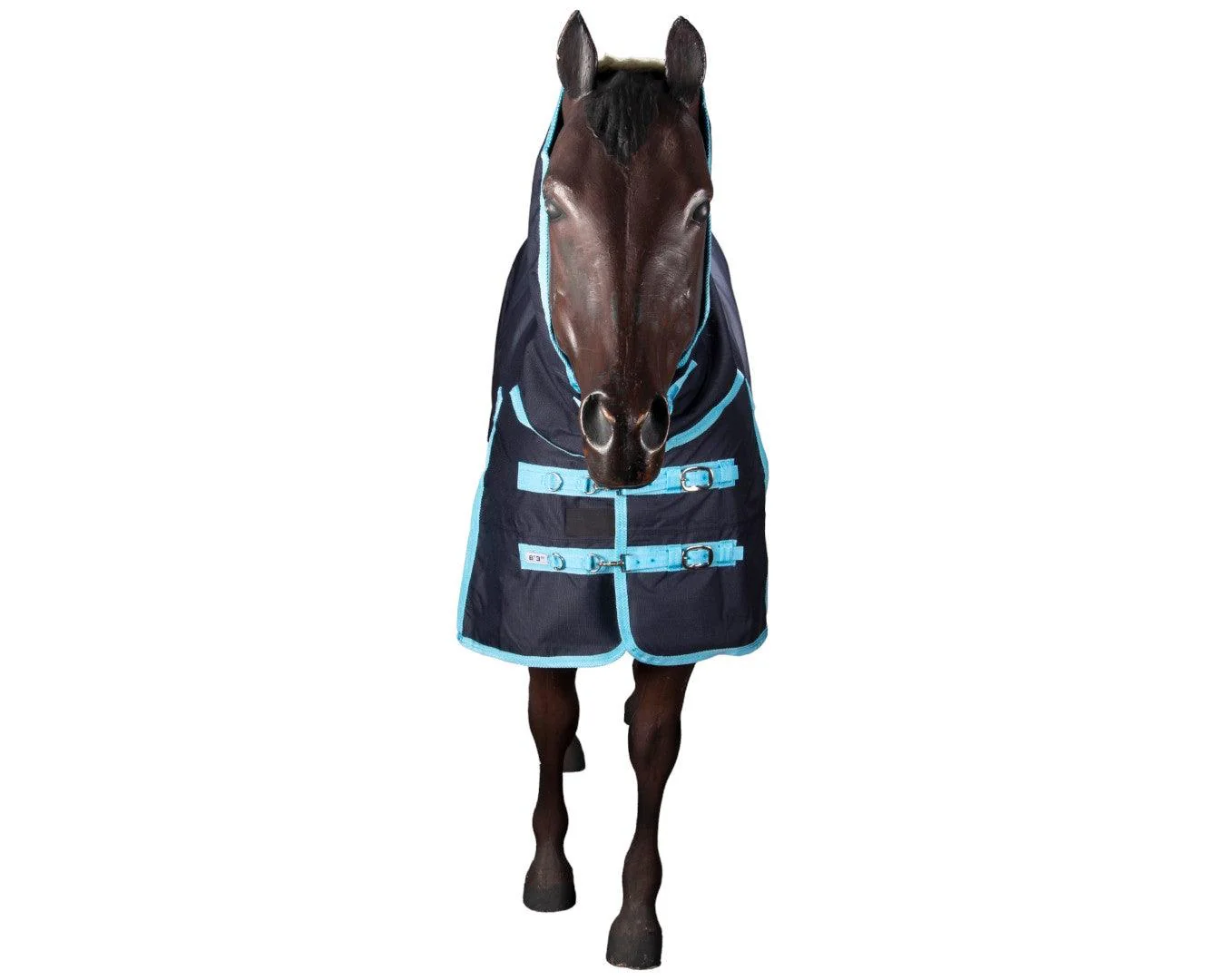 Bobby 1200D Rainsheet Combo - Navy/Turquoise - Image 5