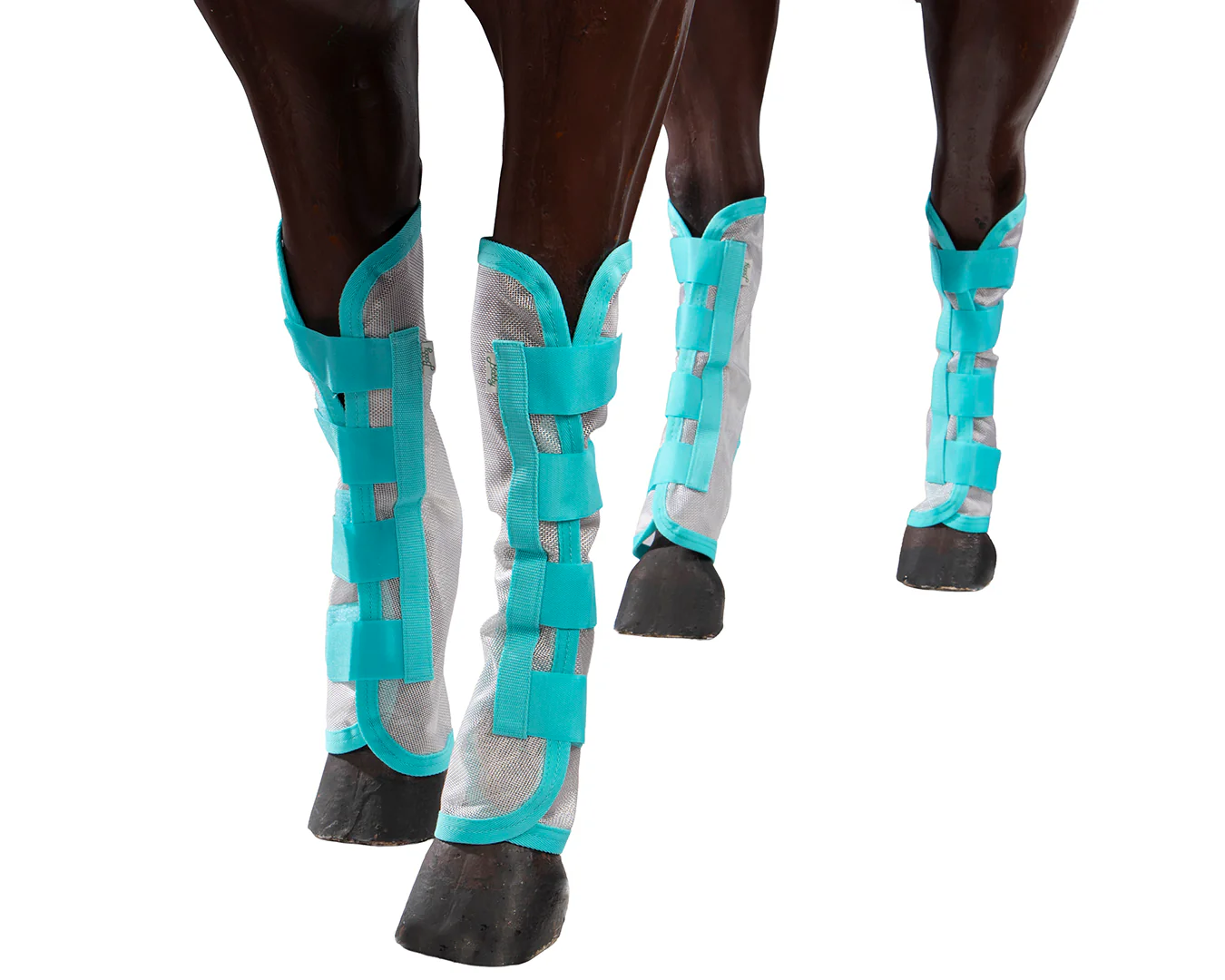 Bobby Fly Boots x4 Pack - Grey/Turquoise - Image 2