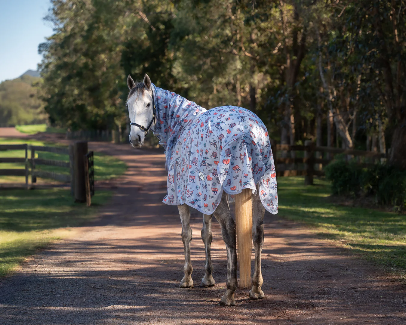 Bobby Fly Mesh Printed Combo - Punchy Western - Image 2