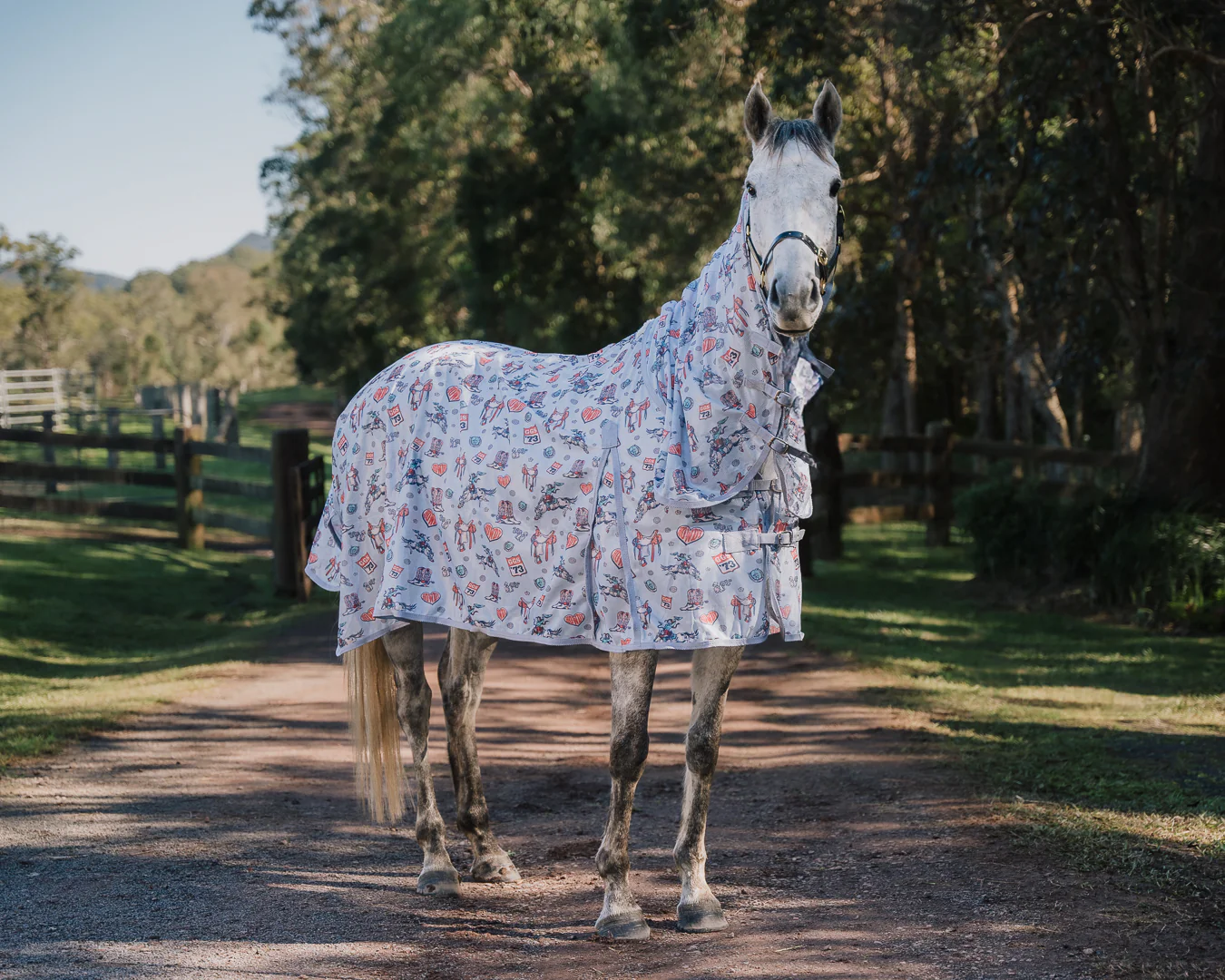 Bobby Fly Mesh Printed Combo - Punchy Western - Image 3