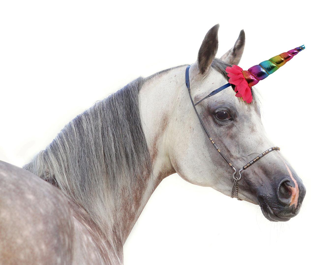 Clip-On Unicorn Horn - Clips to Browband - Image 4
