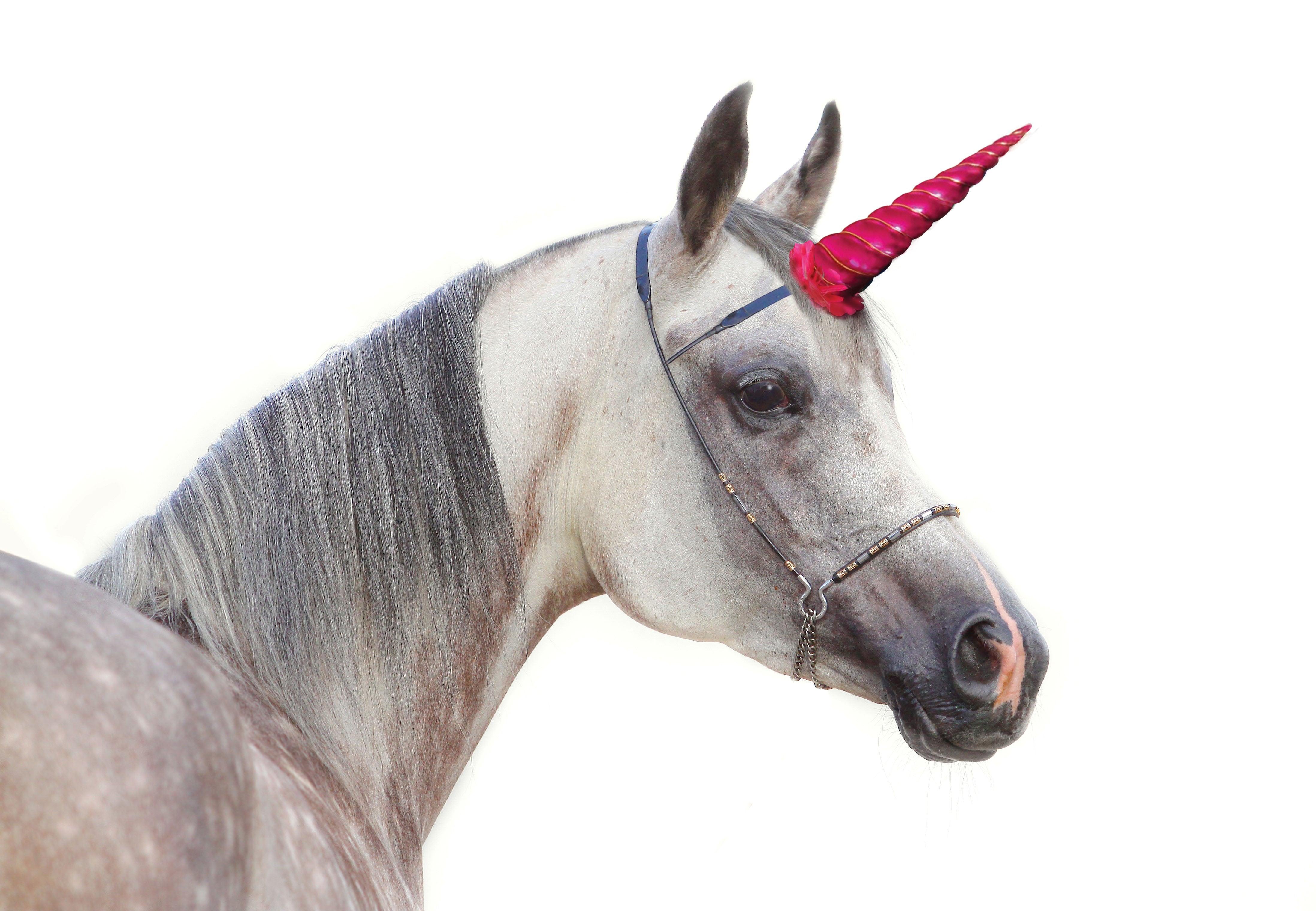 Clip-On Unicorn Horn - Clips to Browband - Image 5