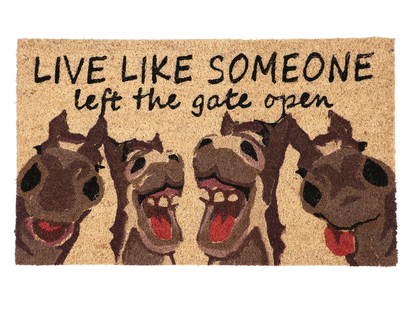 Coir Door Mat - Various Designs - Image 4