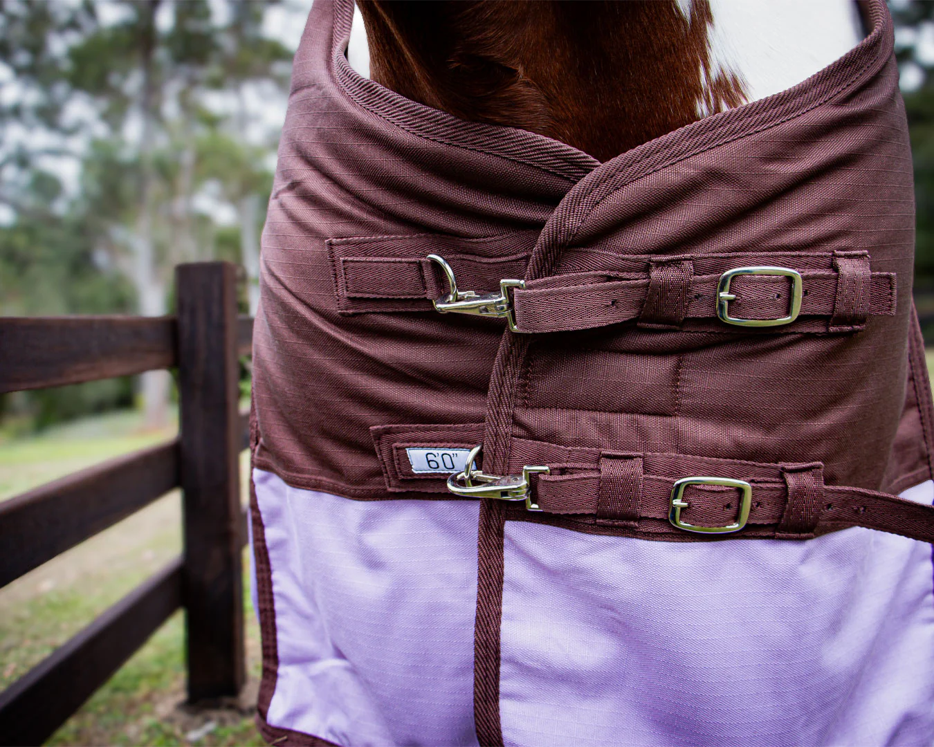 Conrad 1200D Horse Rug - Chocolate & Lilac - Image 2