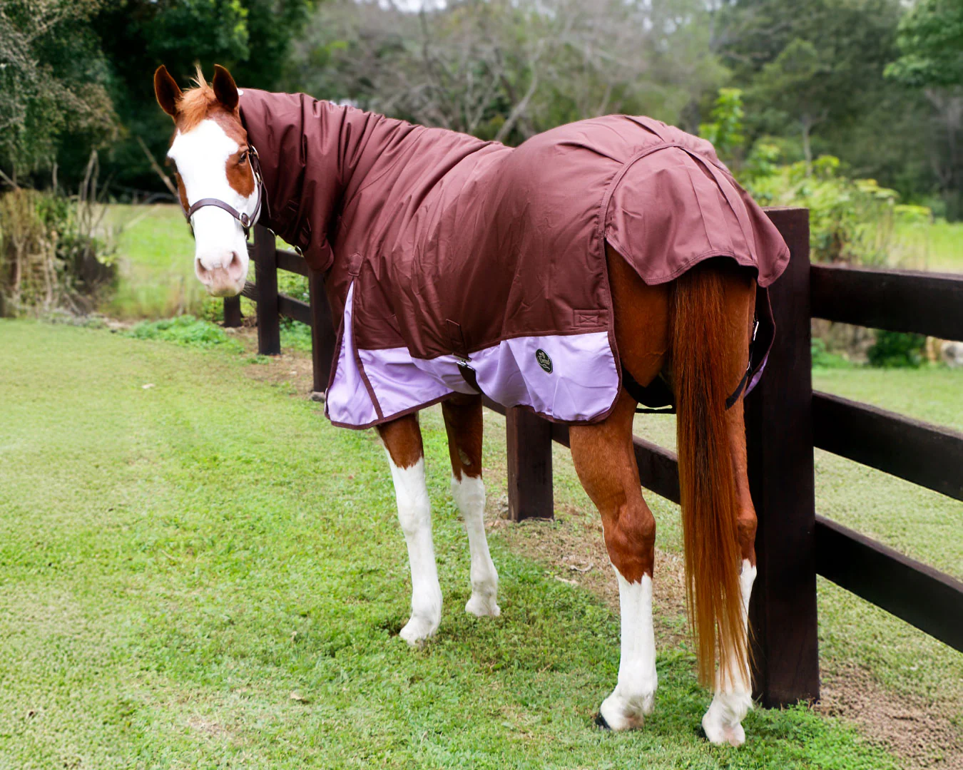 Conrad 1200D Horse Rug Combo - Chocolate & Lilac - Image 5