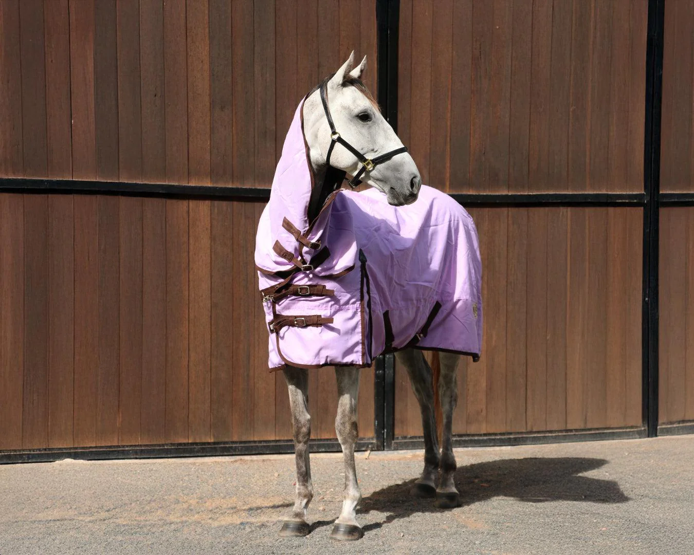 Conrad 600D Rainsheet Combo Rug - Image 3