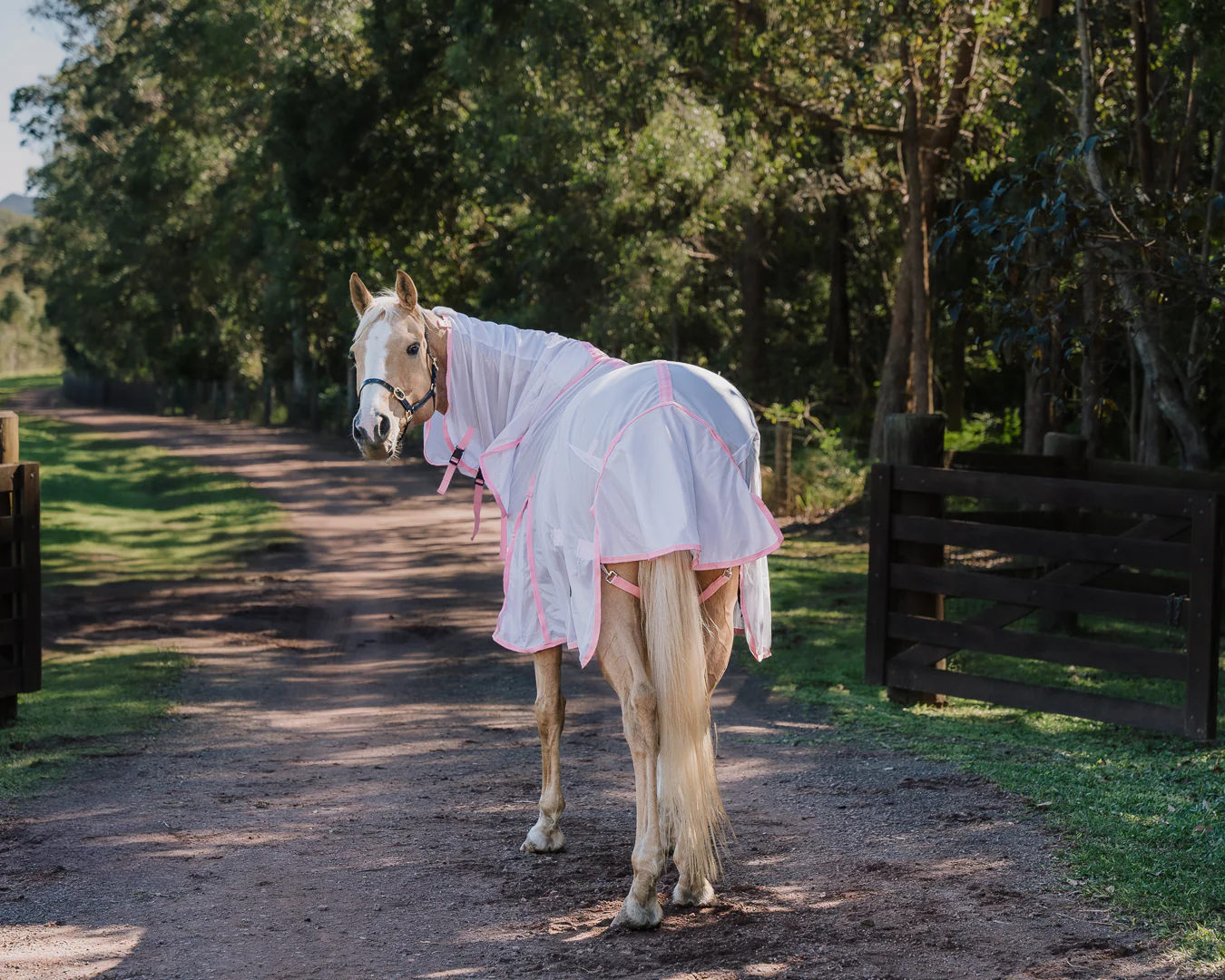 Conrad Fly Mesh Horse Rug Combo - White/Pink - Image 3