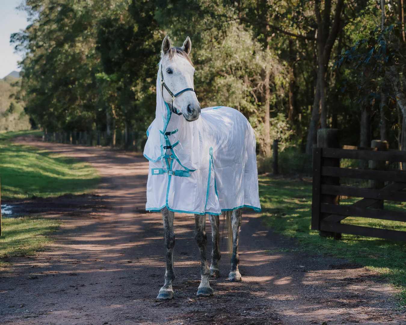 Conrad Fly Mesh Horse Rug Combo - White/Turquoise - Image 3