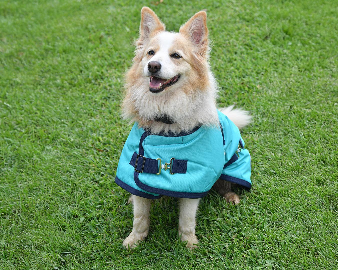 Thermo Master Supreme Dog Coat - Teal/Navy - Image 7