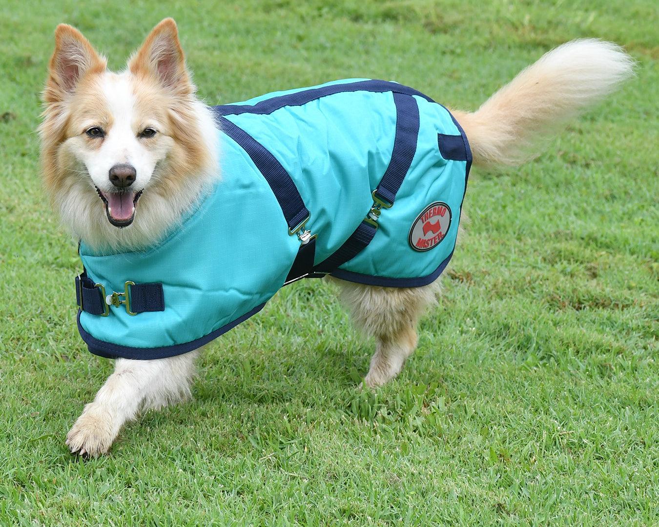 Thermo Master Supreme Dog Coat - Teal/Navy - Image 4