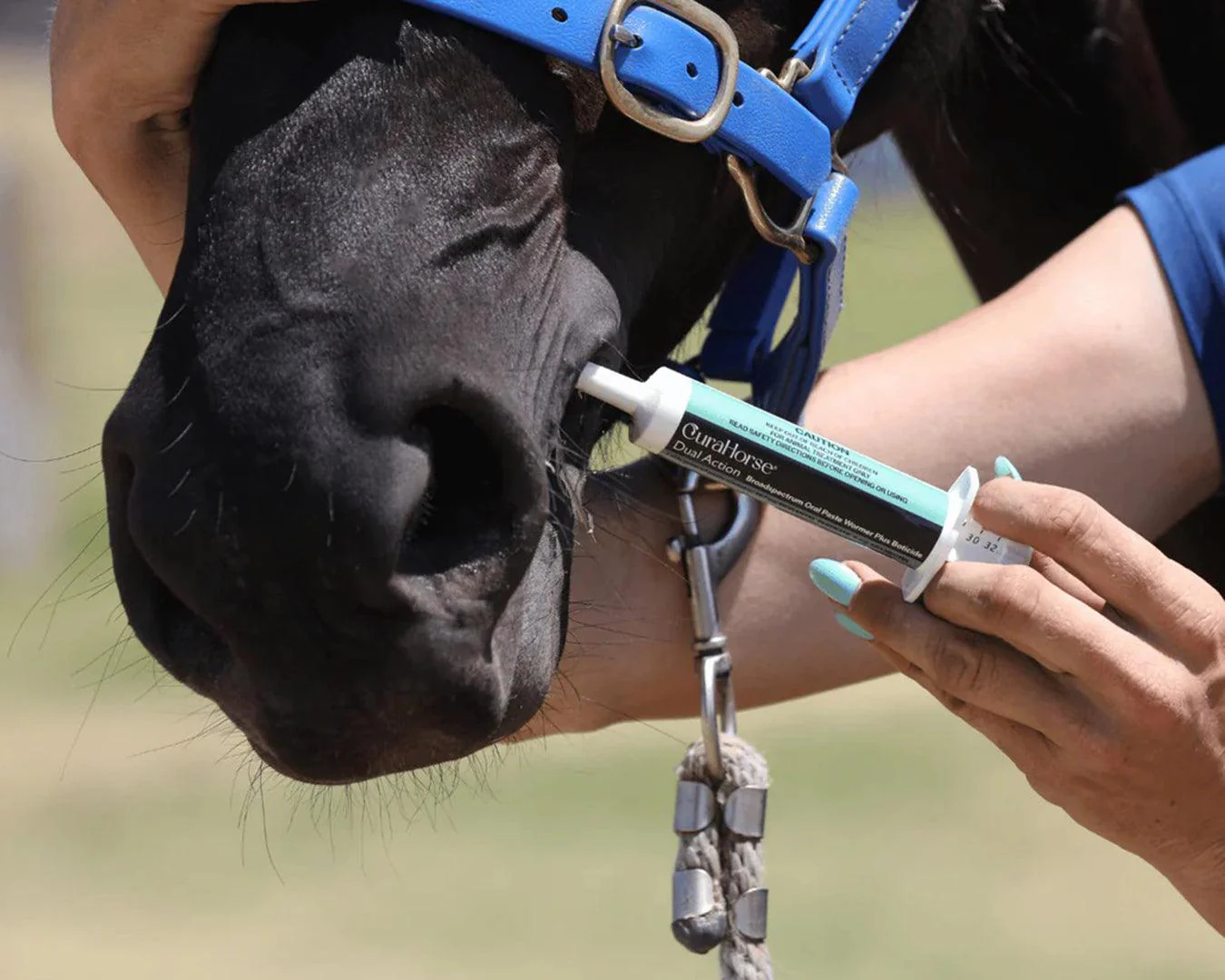 CuraHorse Dual Action Oral Paste Wormer - Image 4