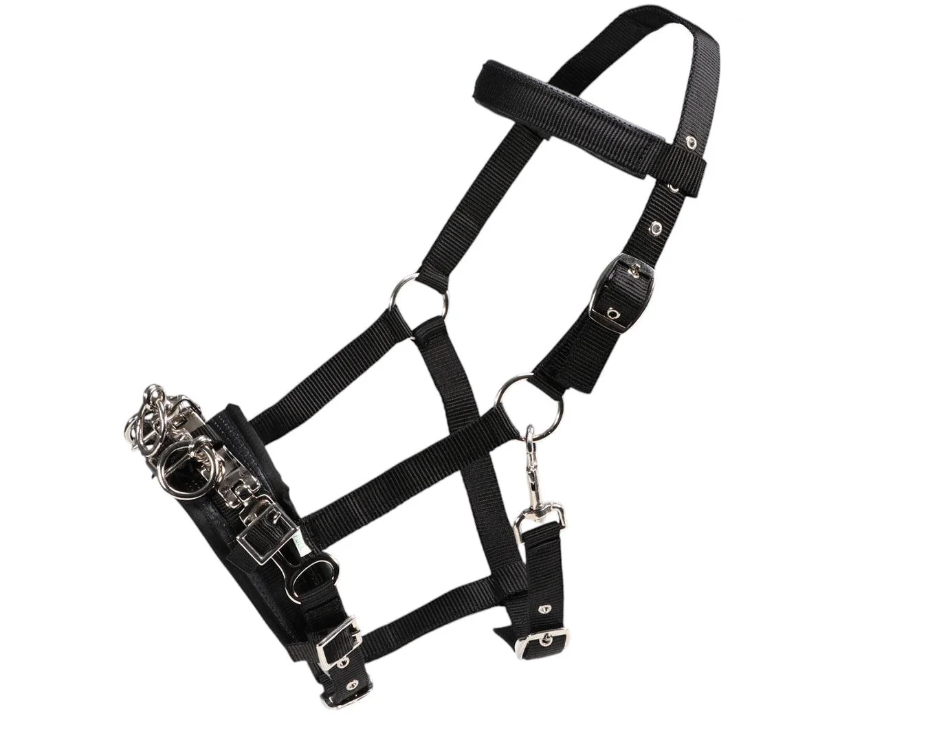 Equi-Prene Anti-Gall Equine Lunging Starter Kit - Image 2