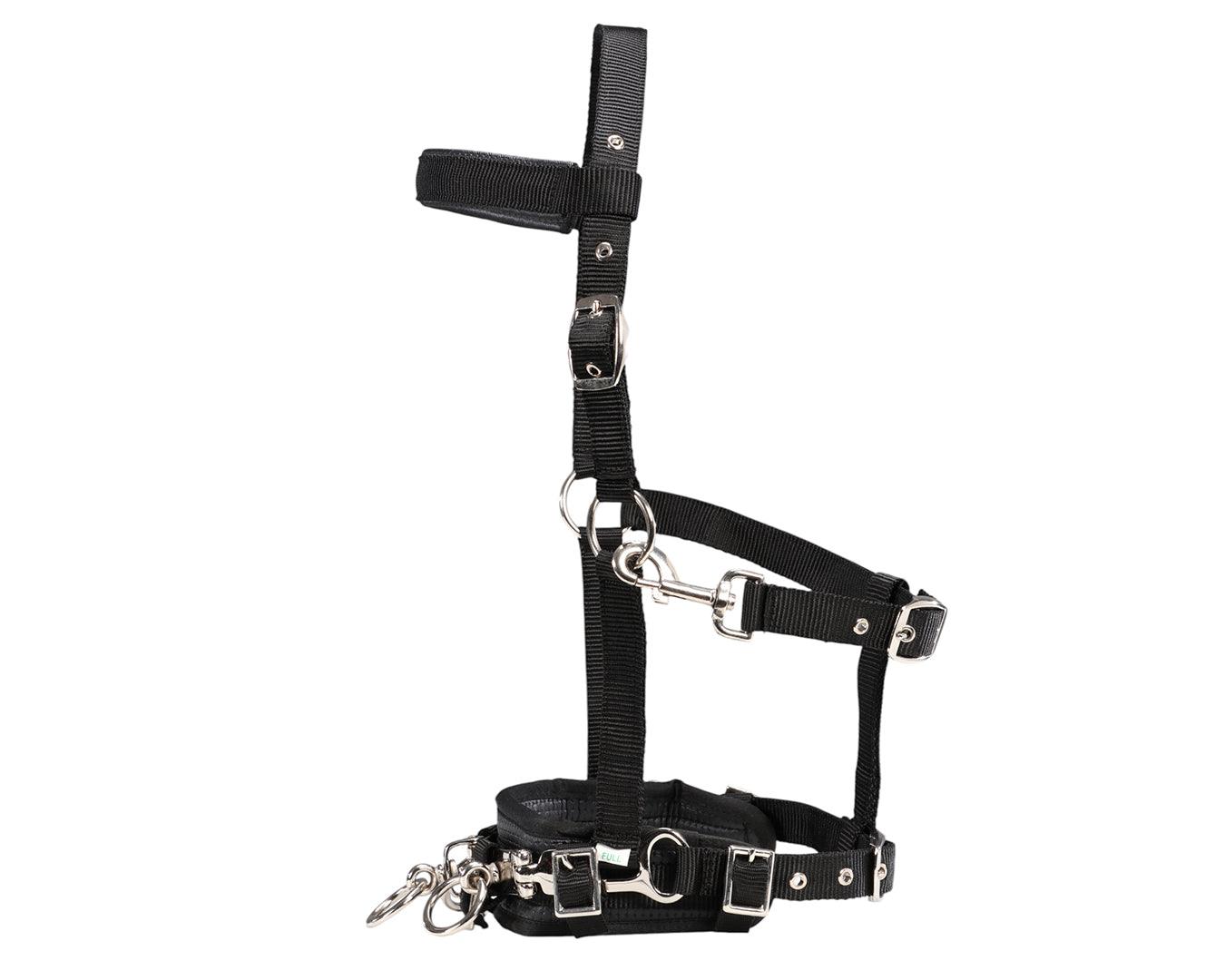 Equi-Prene Anti-Gall Equine Lunging Starter Kit - Image 3