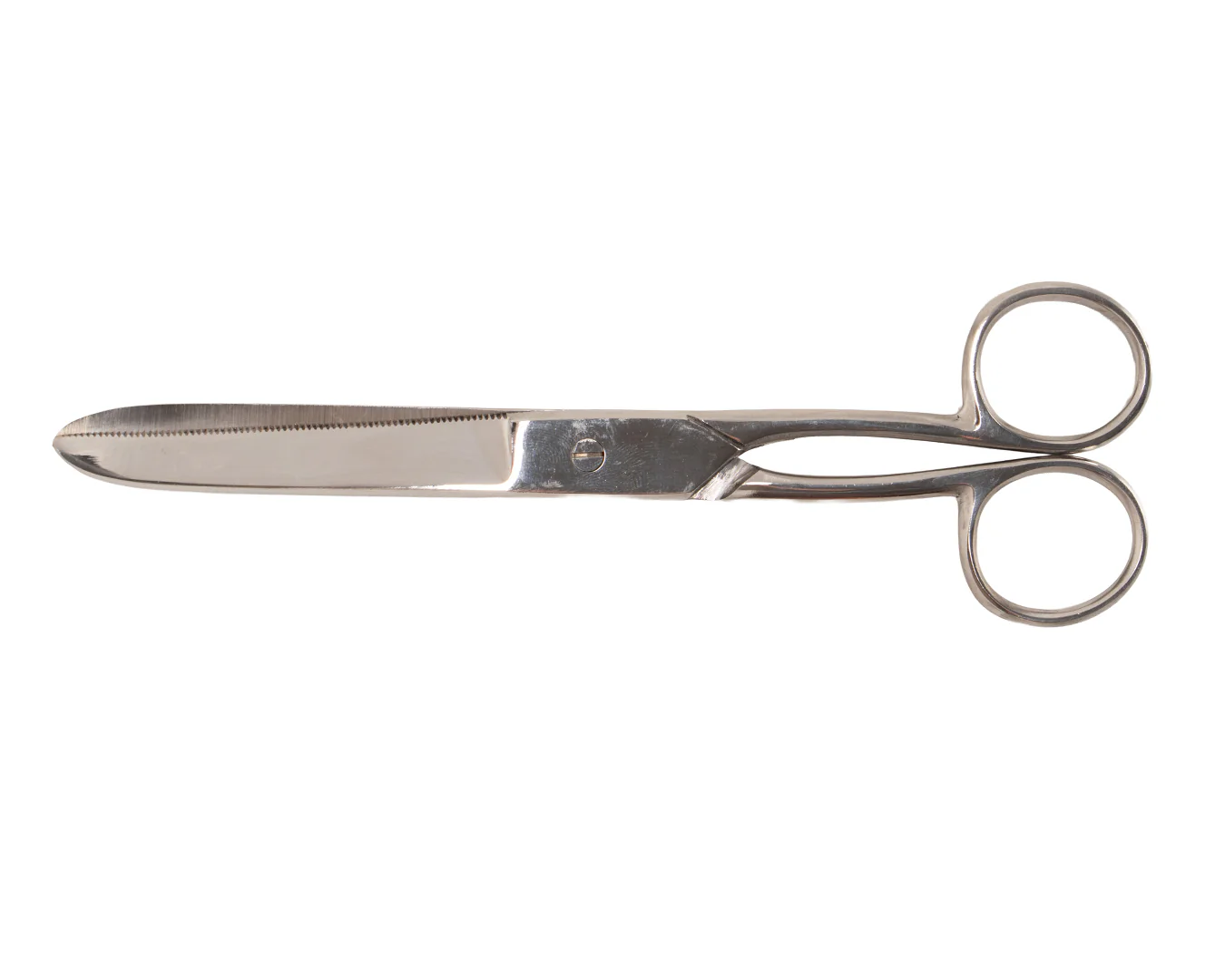 Show Master Fetlock Scissors - Image 3