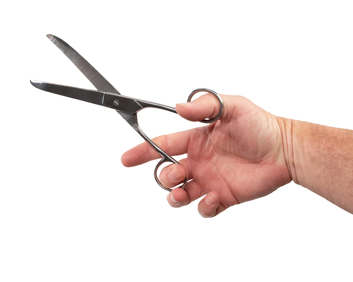 Show Master Fetlock Scissors - Image 4