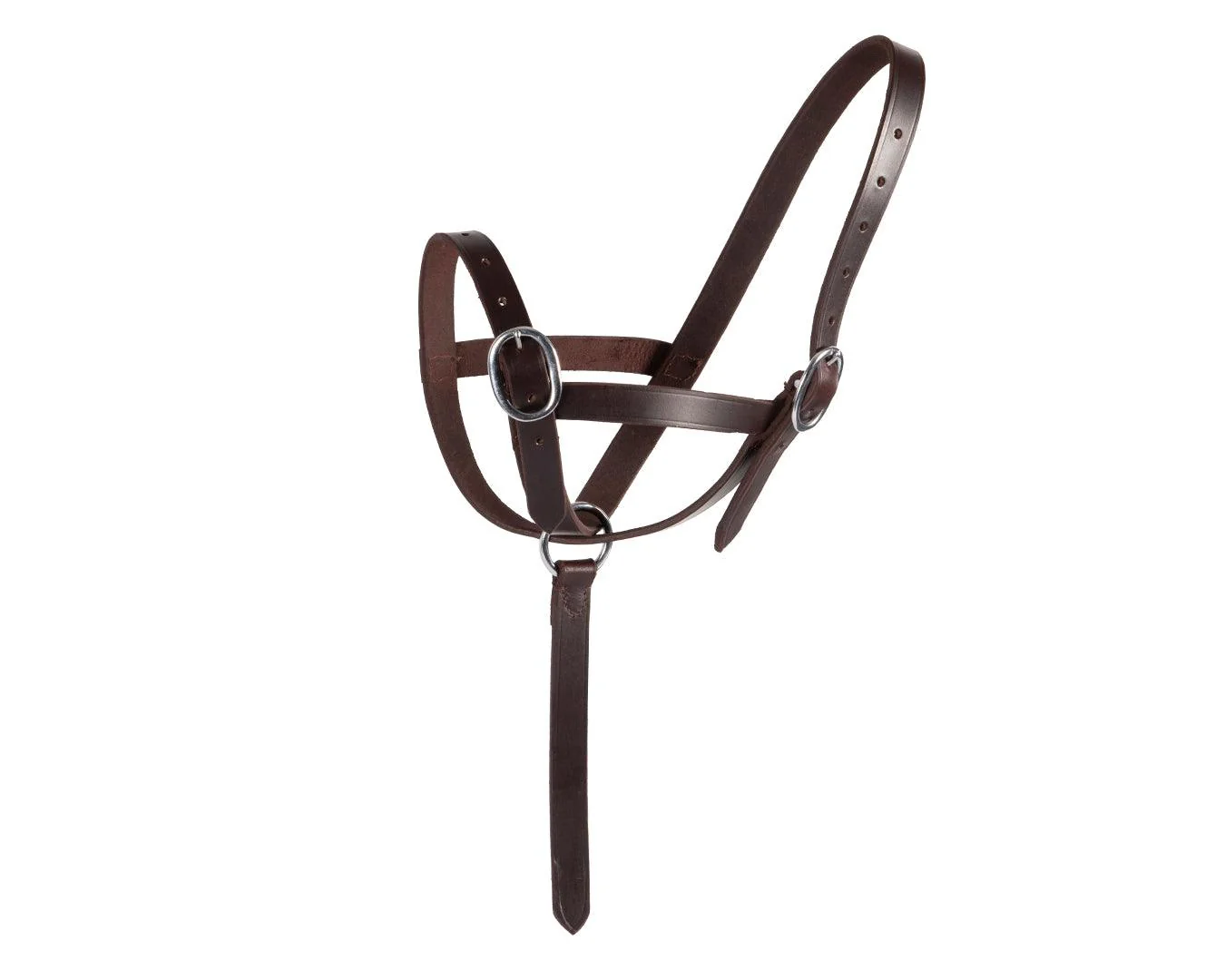 STC Foal Catching Halter
