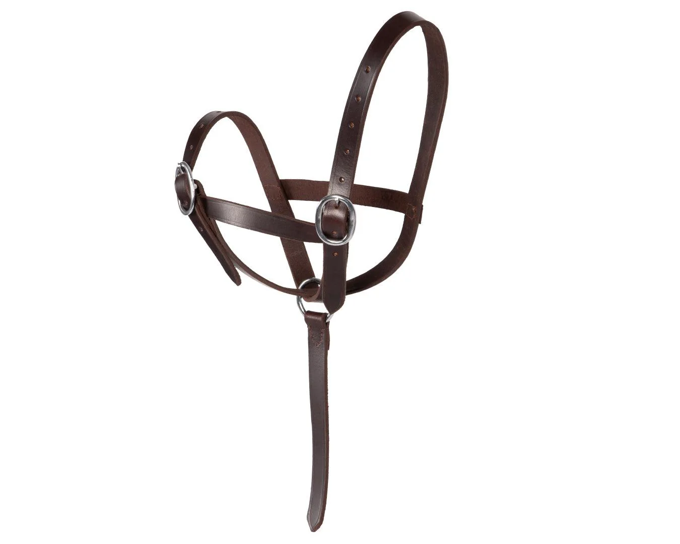 STC Foal Catching Halter - Image 2