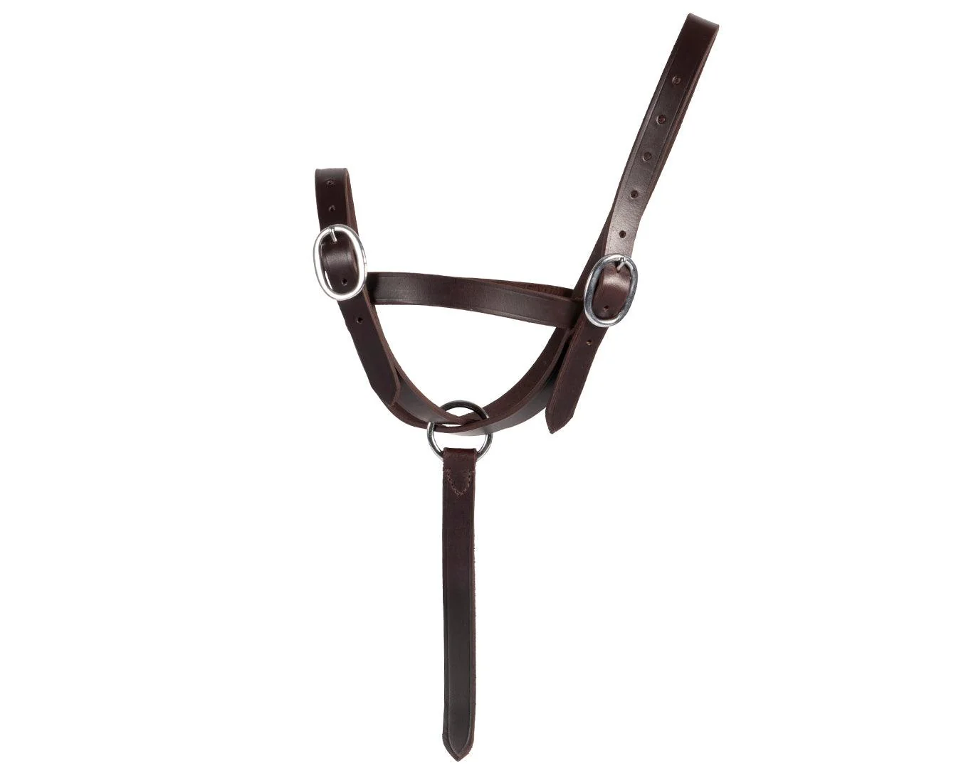STC Foal Catching Halter - Image 3