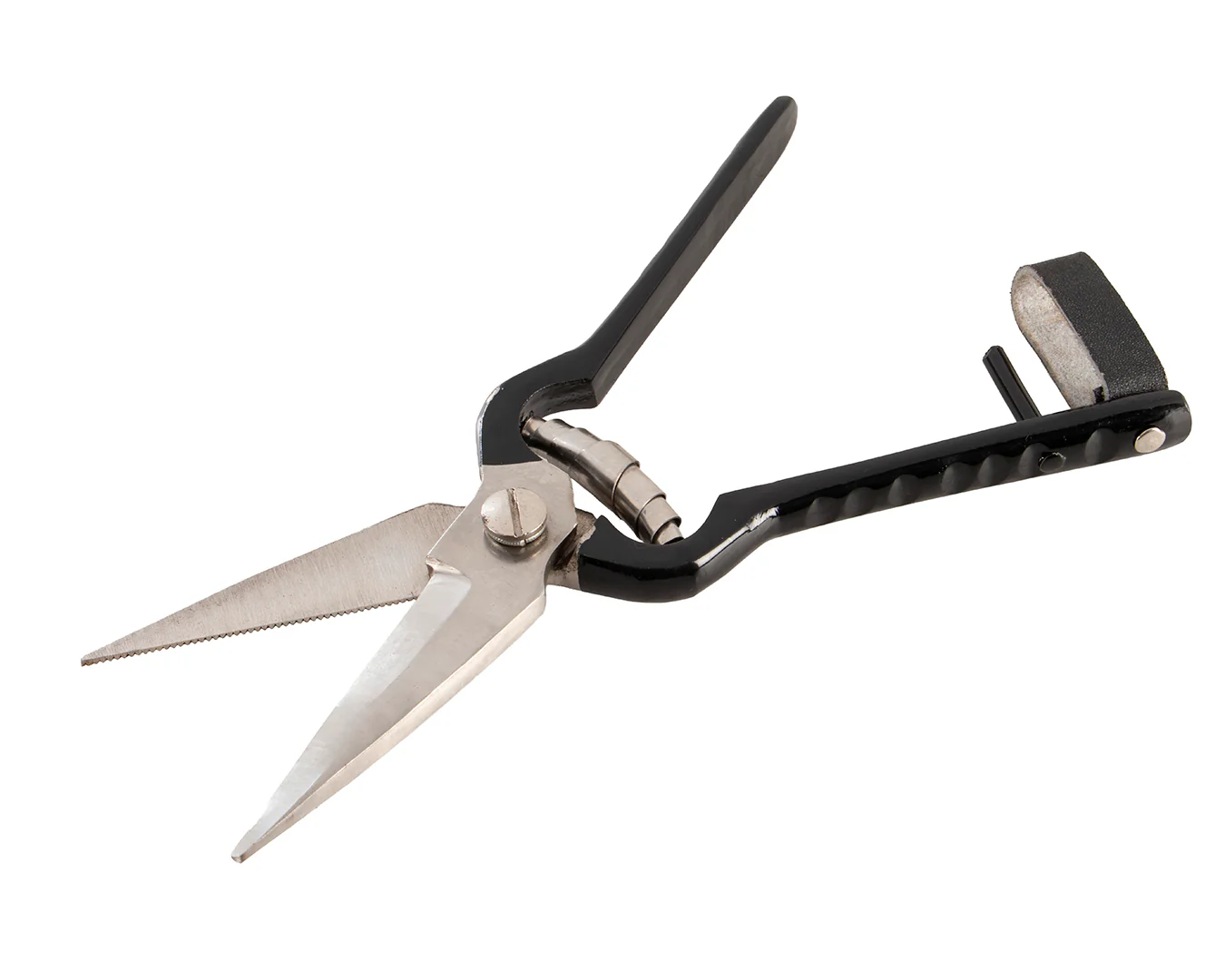 STC Footrot Shears - Image 3