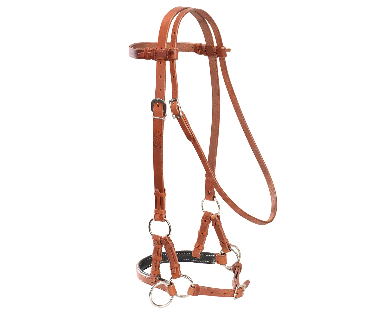Fort Worth Guy McLean Padded Leather Nose Sidepull - Harness - Image 3