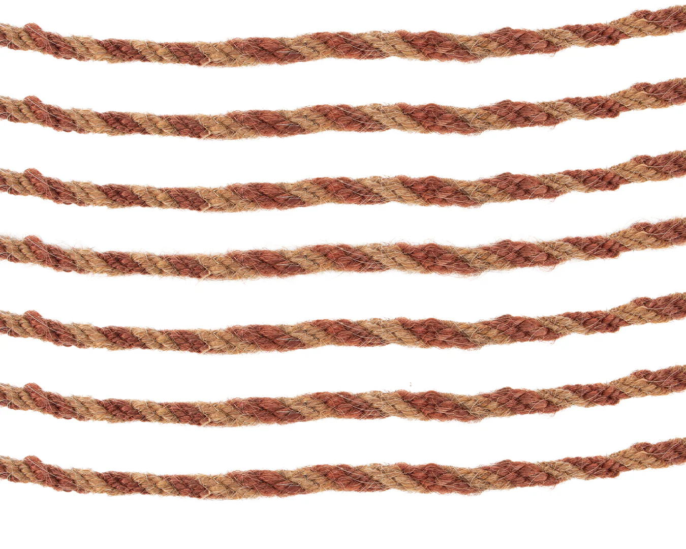 Fort Worth Horsehair Mecate Rein - Image 6