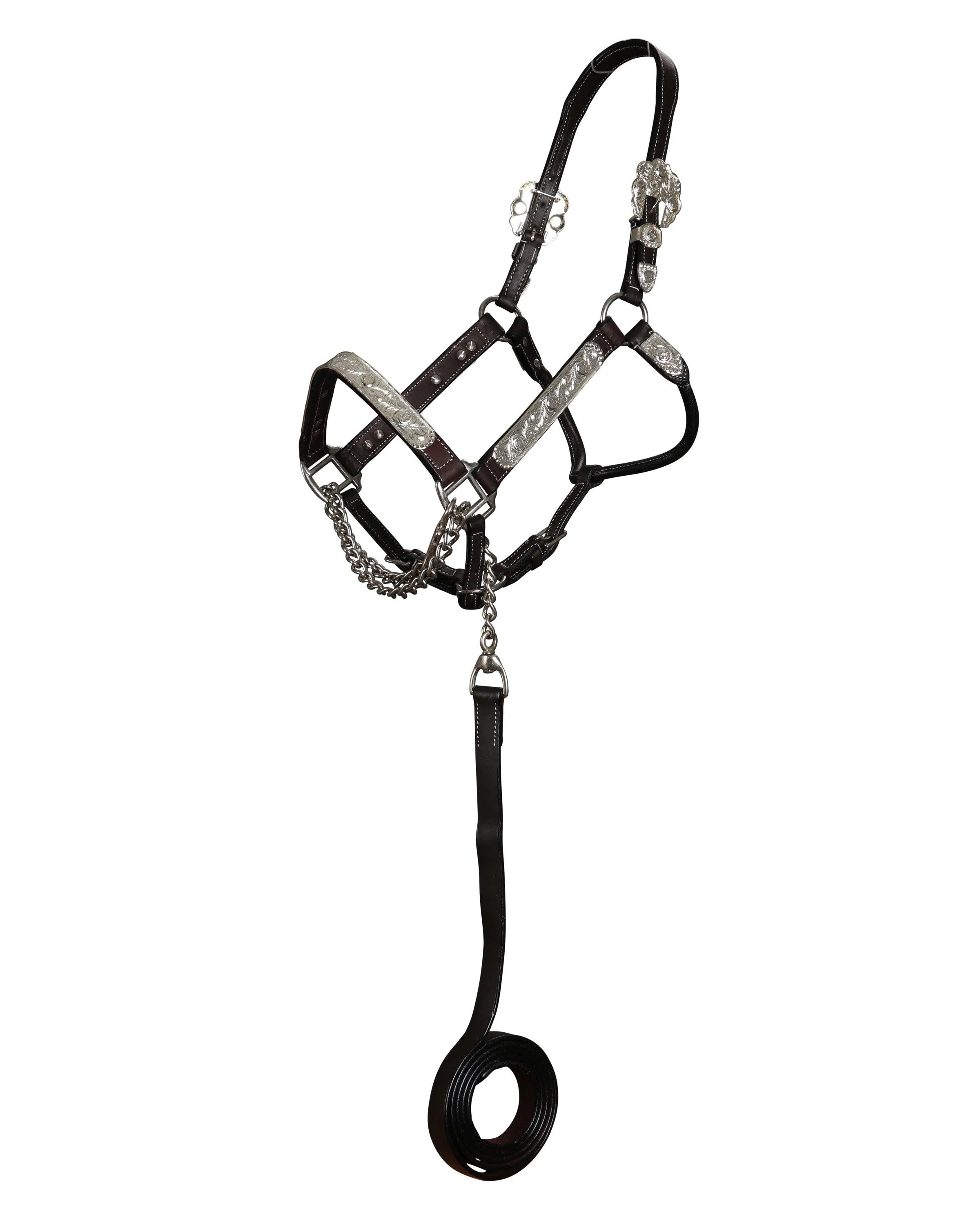 Fort Worth Scottsdale Arabian Silver Halter - Image 2
