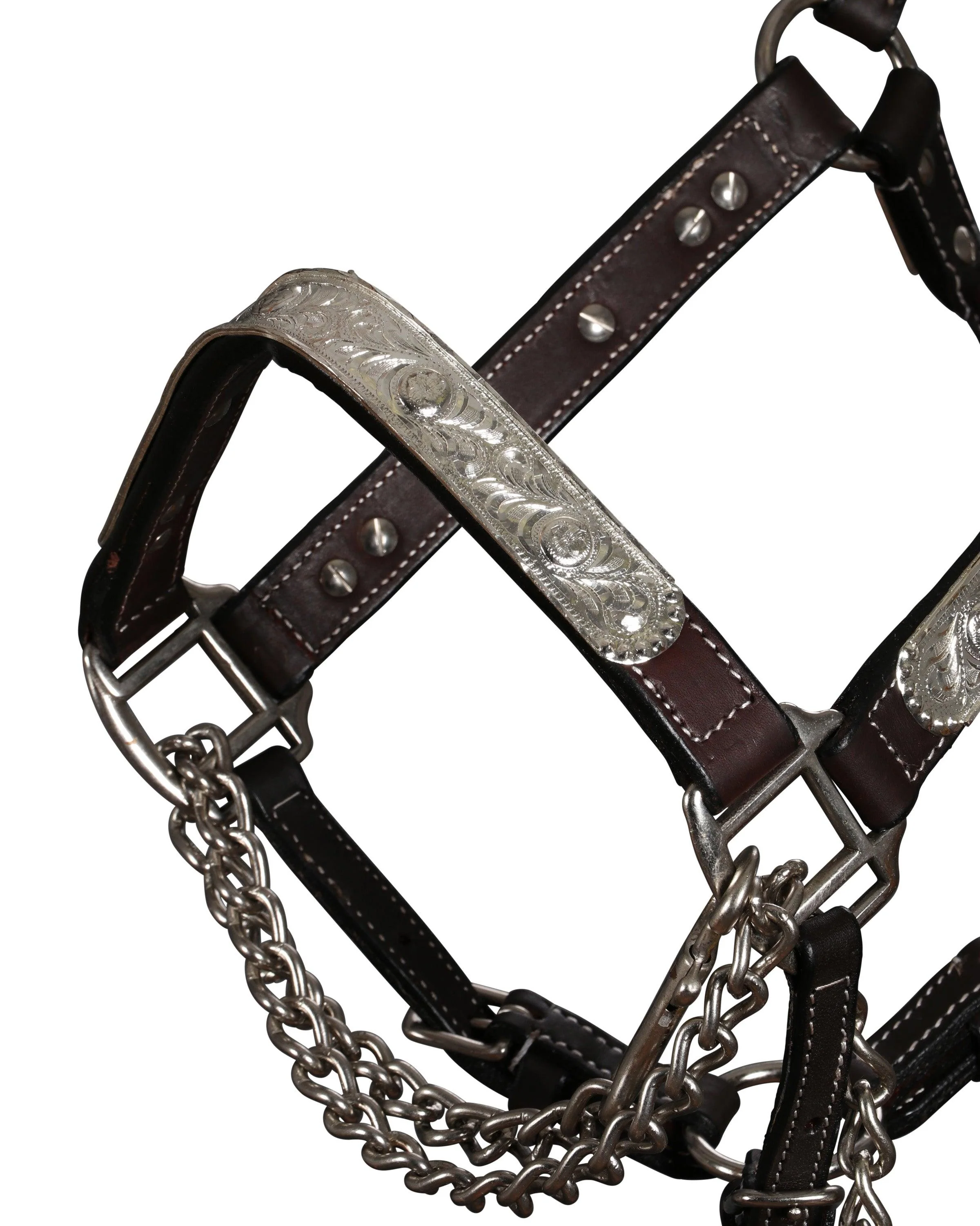 Fort Worth Scottsdale Arabian Silver Halter - Image 4