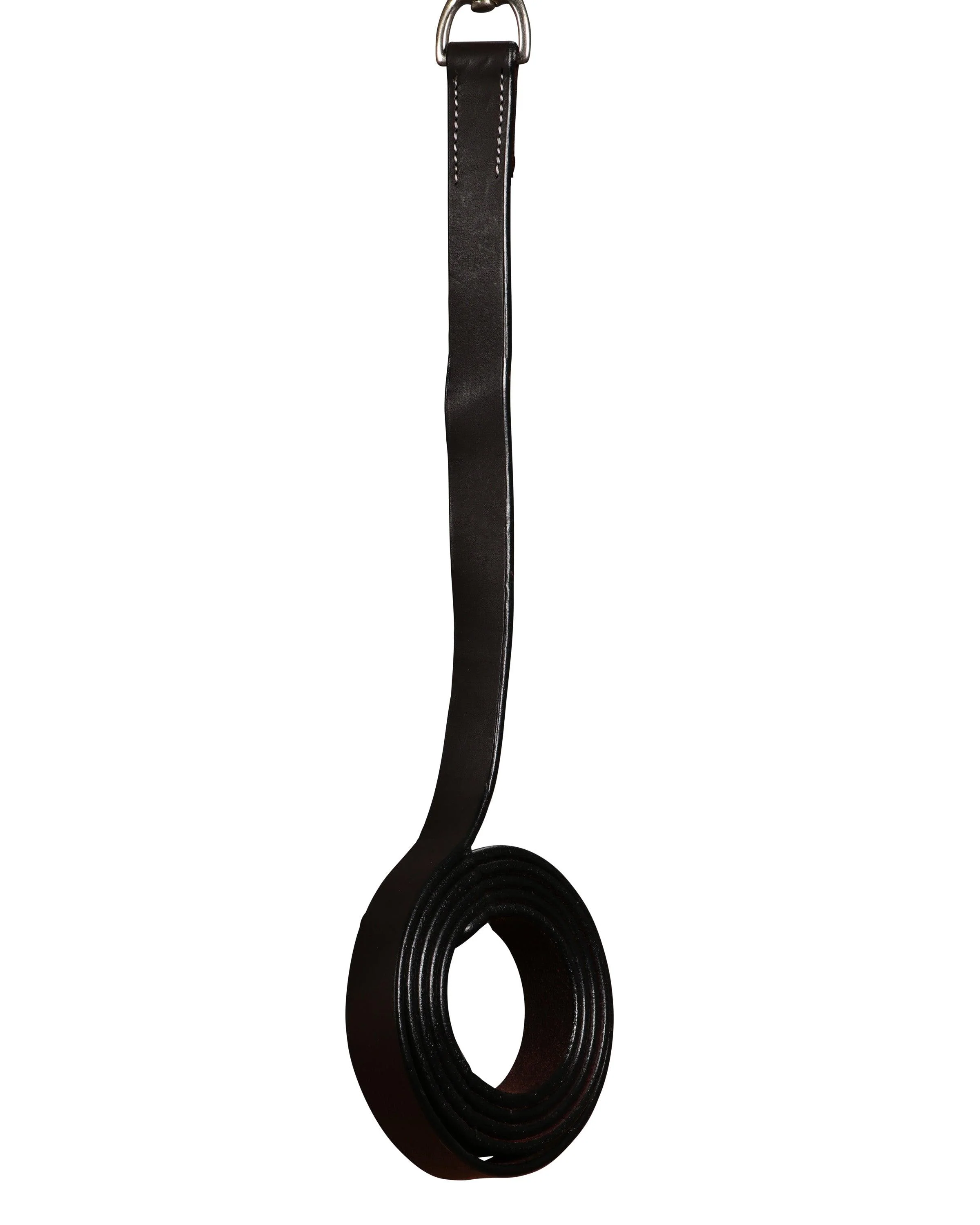 Fort Worth Scottsdale Arabian Silver Halter - Image 5