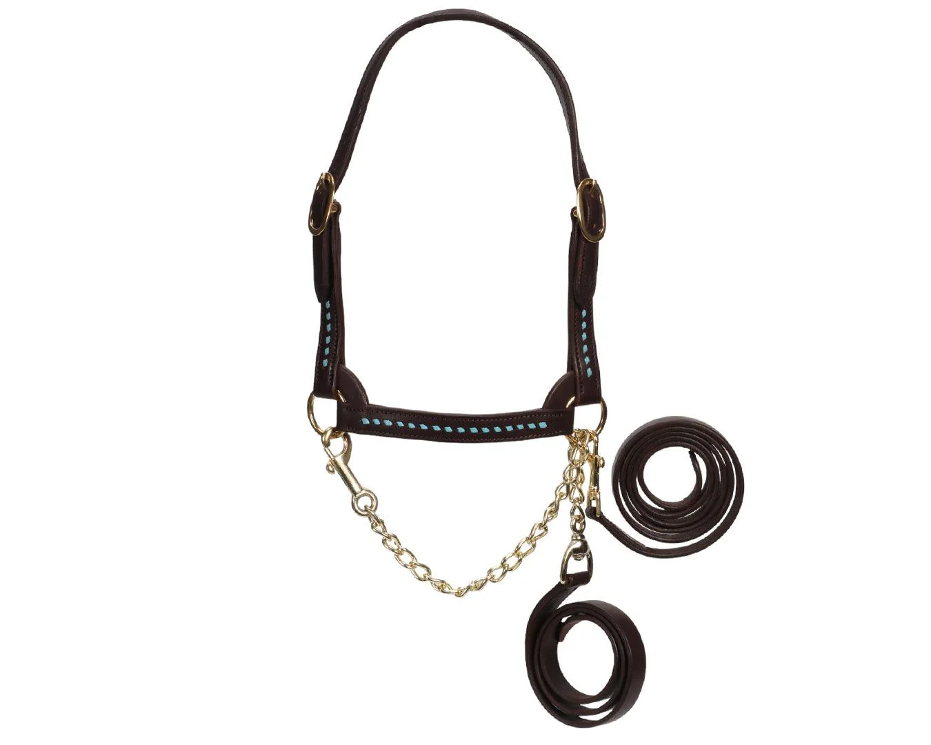 Fort Worth Show Cattle Halter - Buckstitched Brown/Turquoise - Image 3