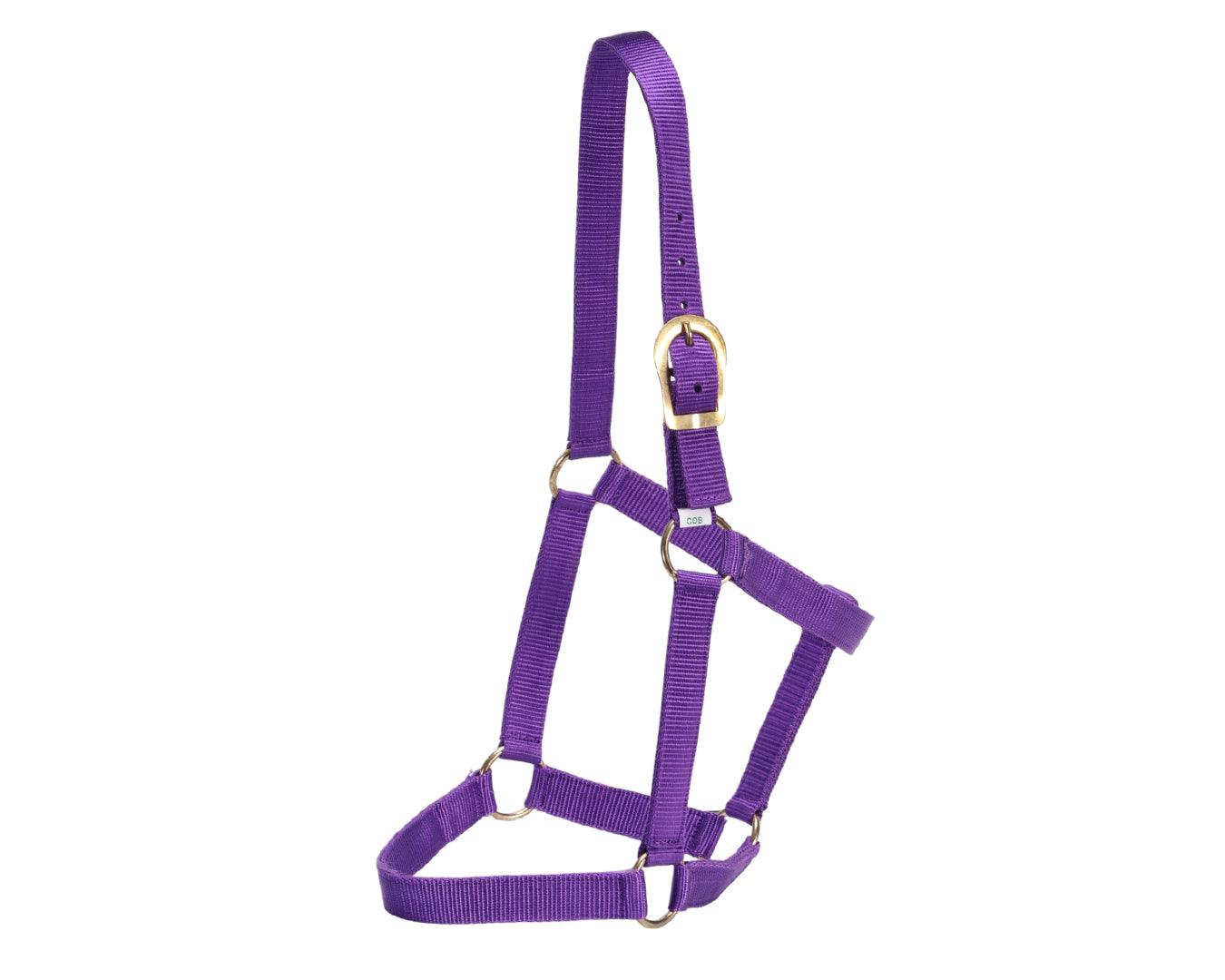 GG Australia Stable Halter - Image 10