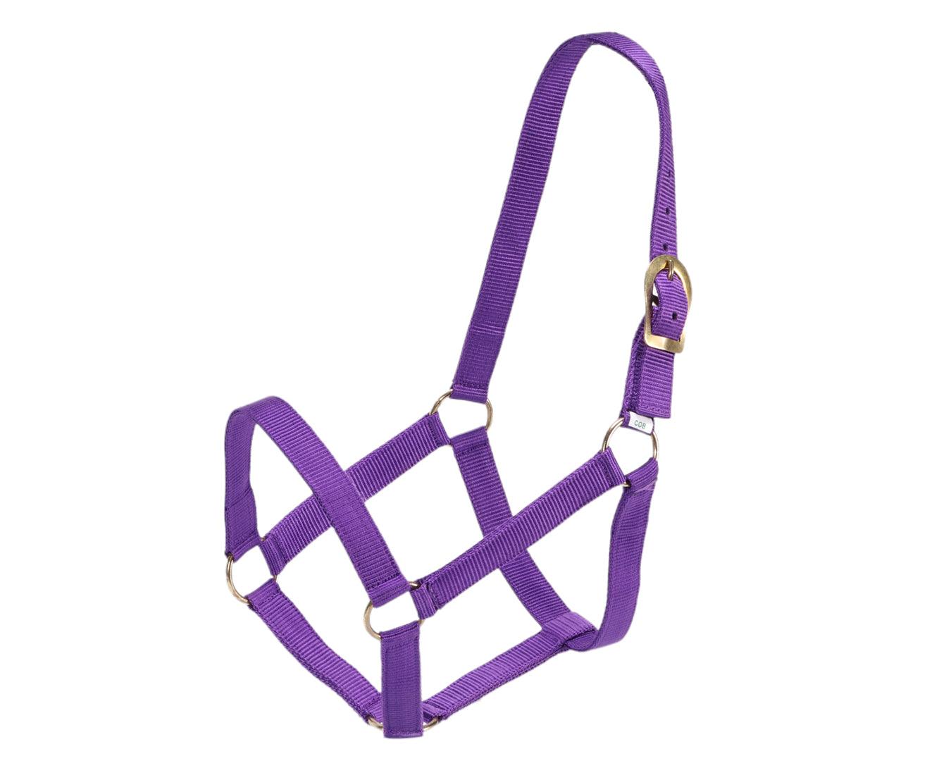 GG Australia Stable Halter - Image 11