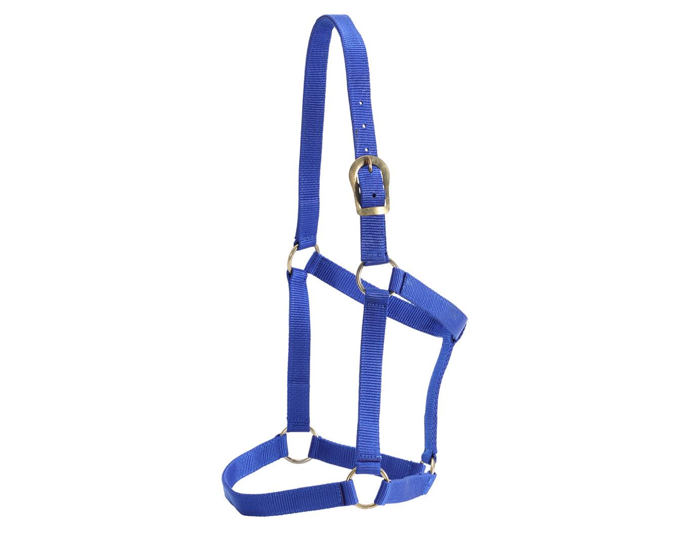 GG Australia Stable Halter - Image 13