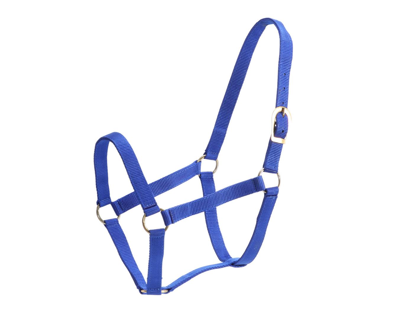 GG Australia Stable Halter - Image 14