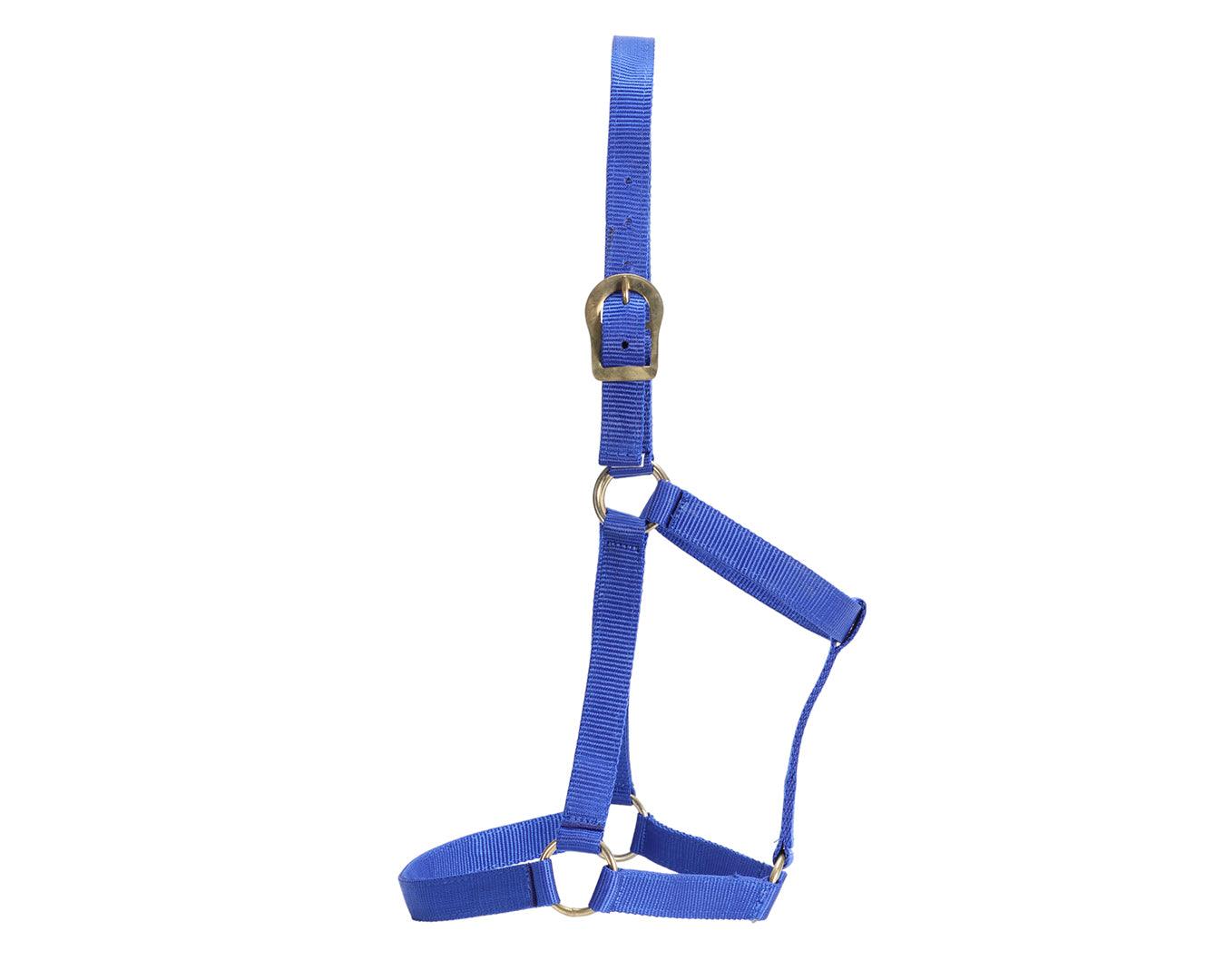 GG Australia Stable Halter - Image 15