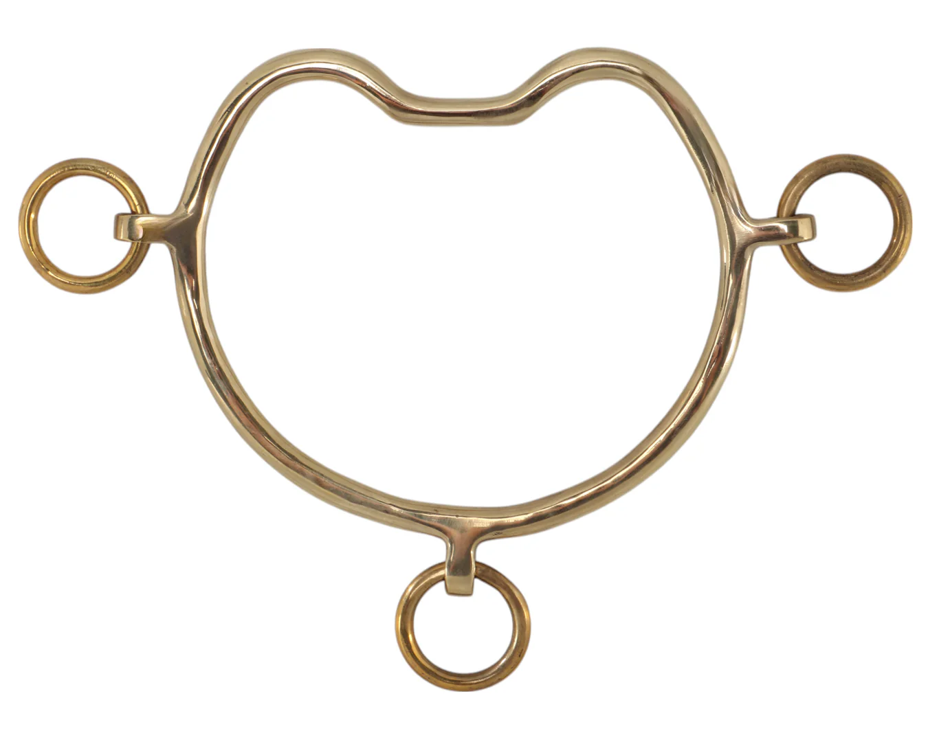 Gold Medal Anti-Rear Bit with Port Mouth