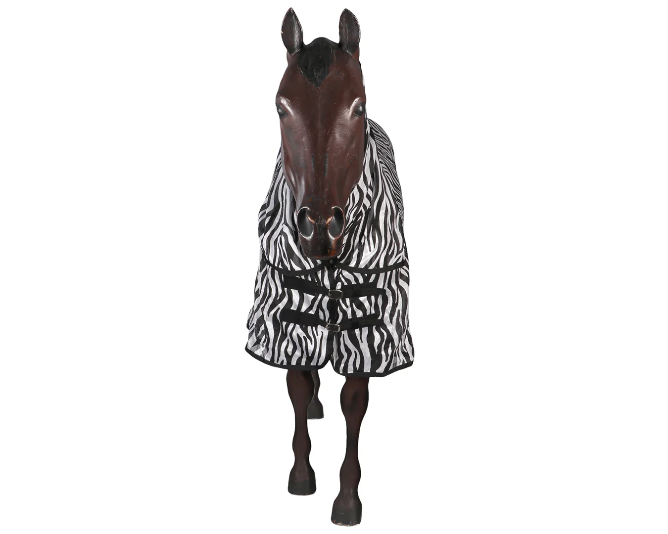 Conrad Zebra Fly Mesh Combo - Image 5