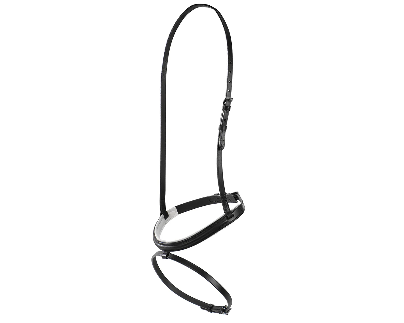 Hanoverian Noseband