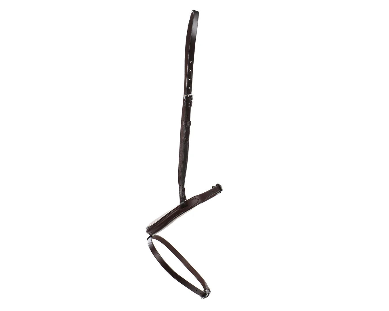 Hanoverian Noseband - Image 2