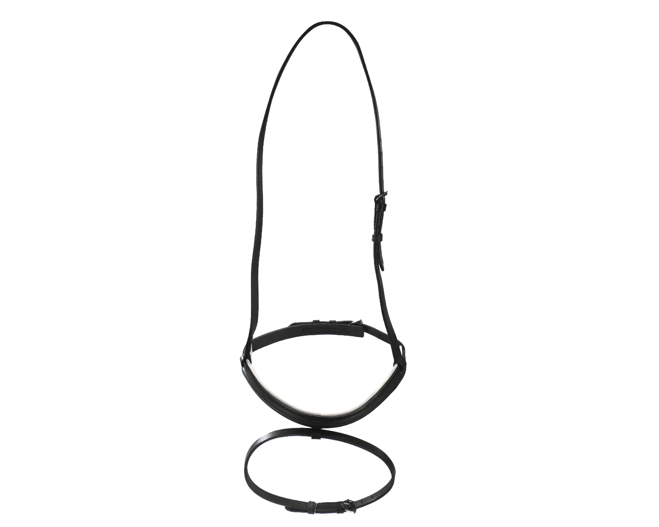 Hanoverian Noseband - Image 3
