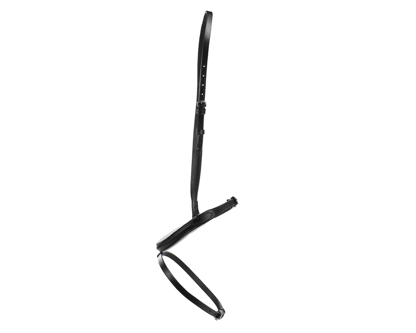 Hanoverian Noseband - Image 6