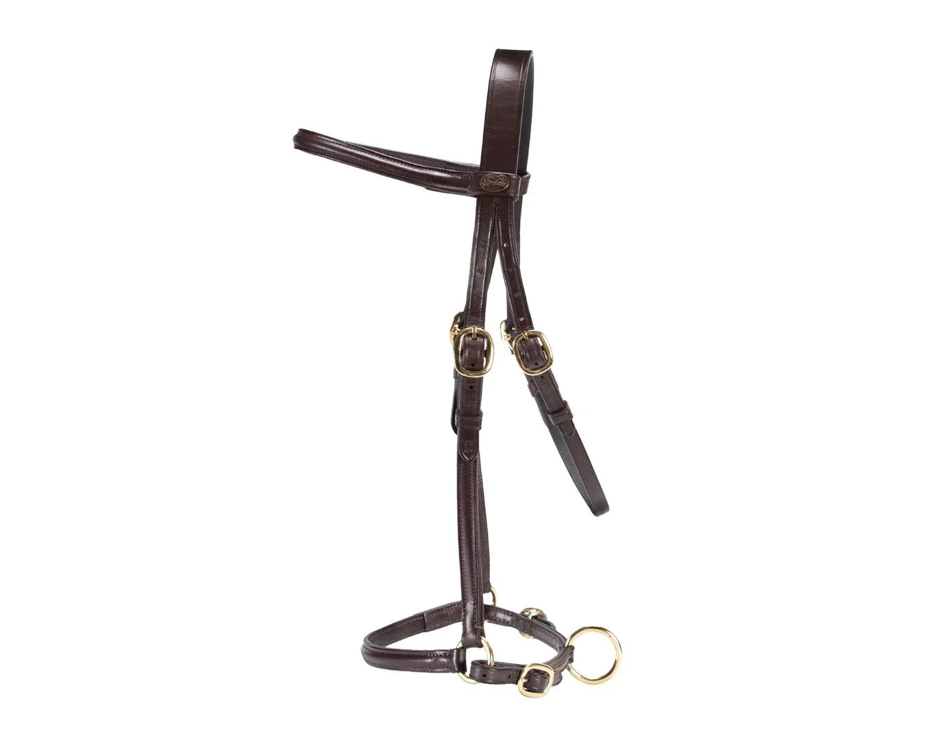 Hansome In-Hand Halter - Image 2