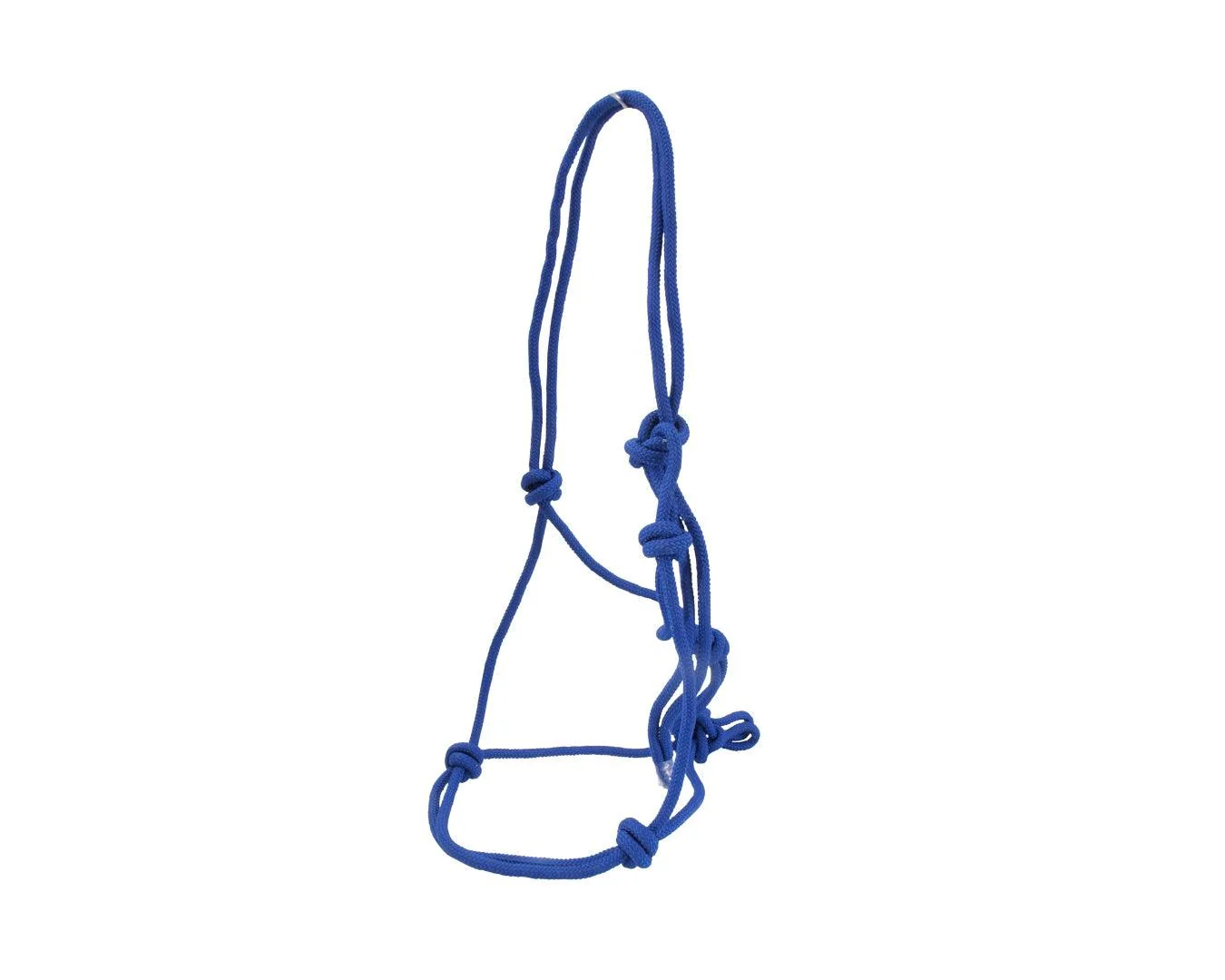 Happy Horse Knotted Rope Halter - Blue