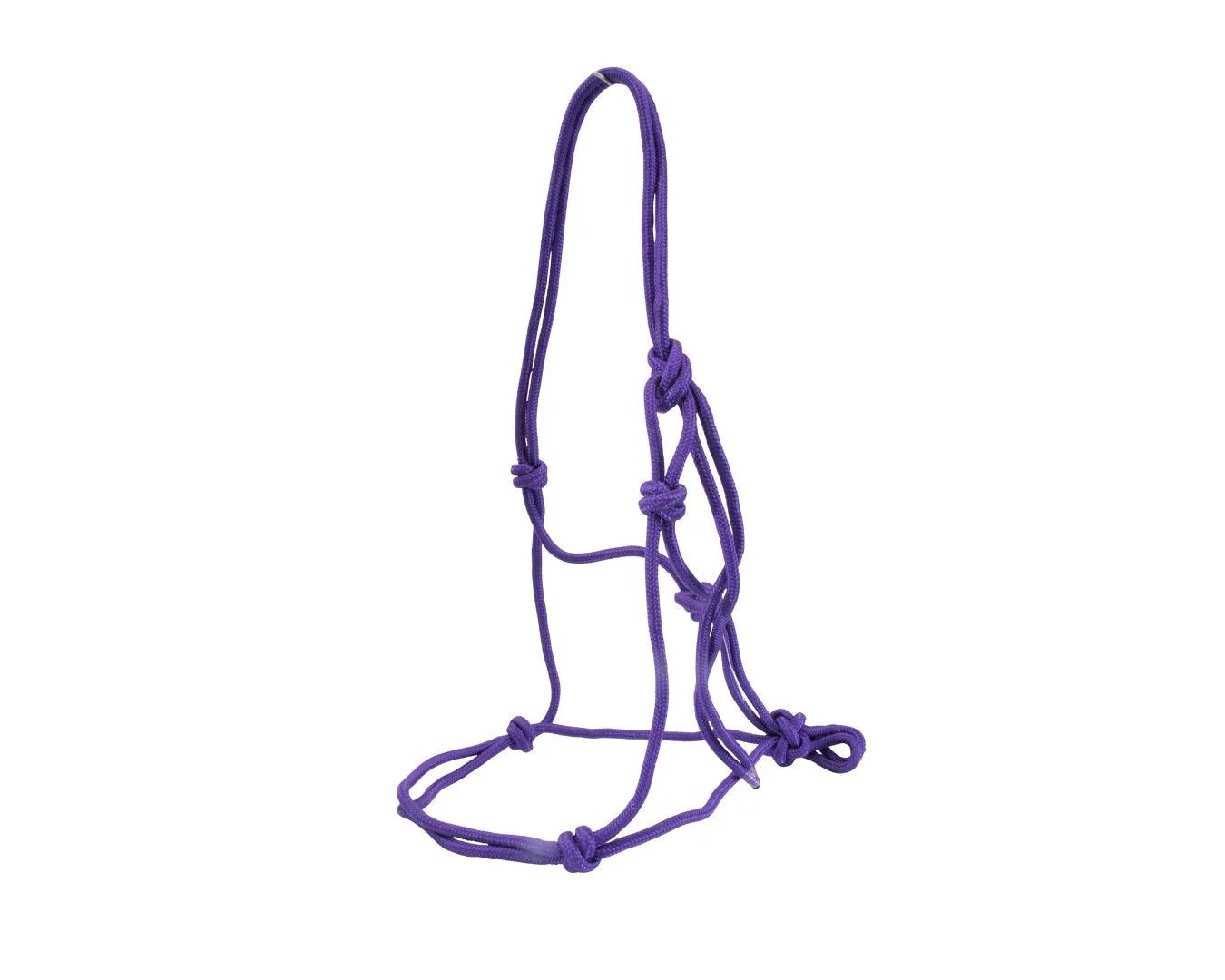 Happy Horse Knotted Rope Halter - Purple