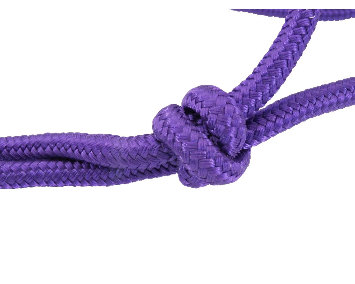 Happy Horse Knotted Rope Halter - Purple - Image 2