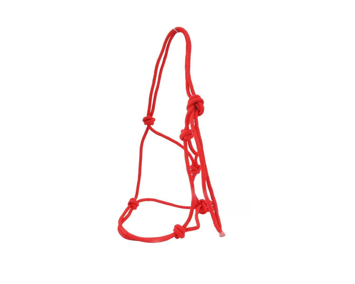 Happy Horse Knotted Rope Halter - Red