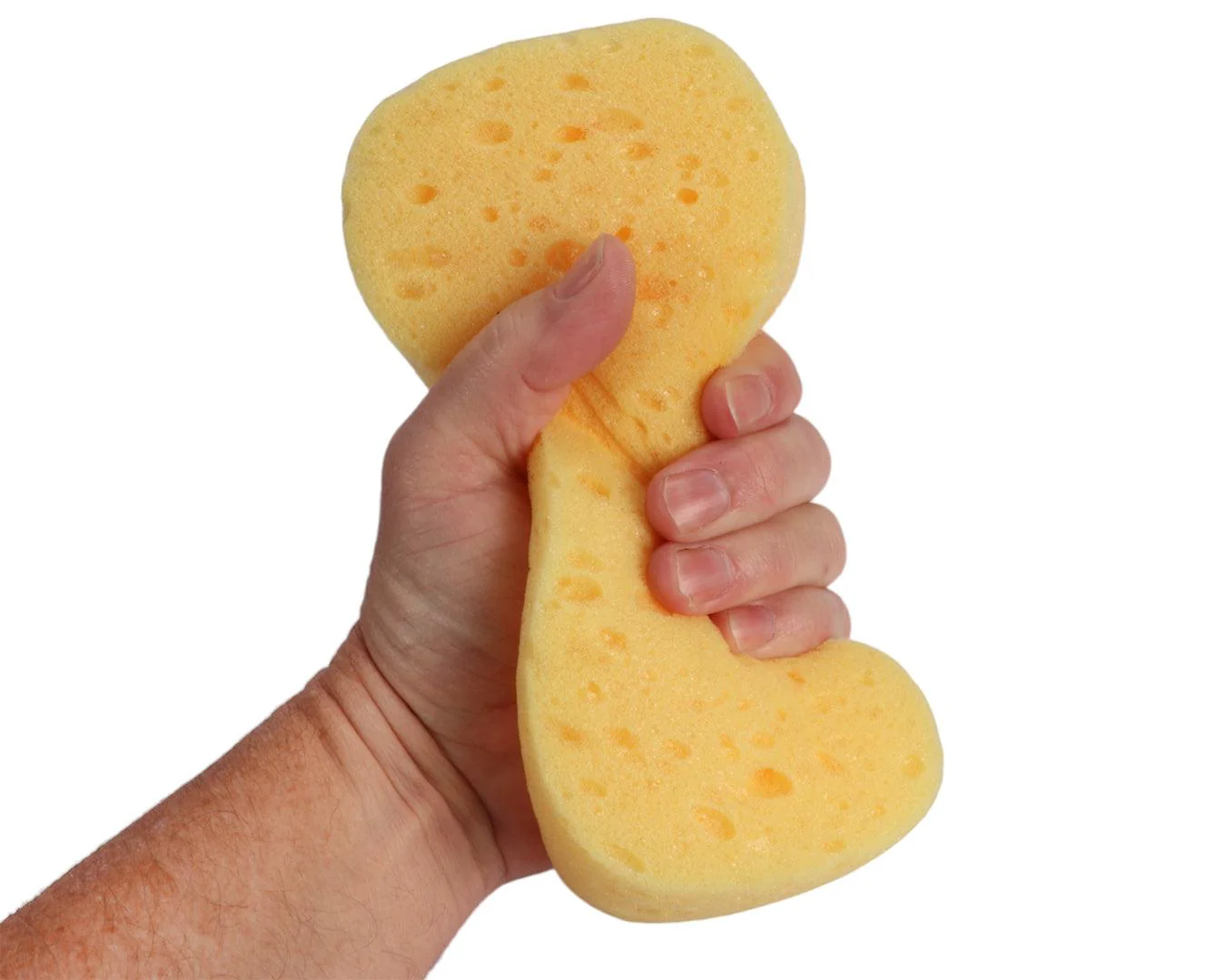 Carr & Day & Martin Horse Care Sponge - Image 3