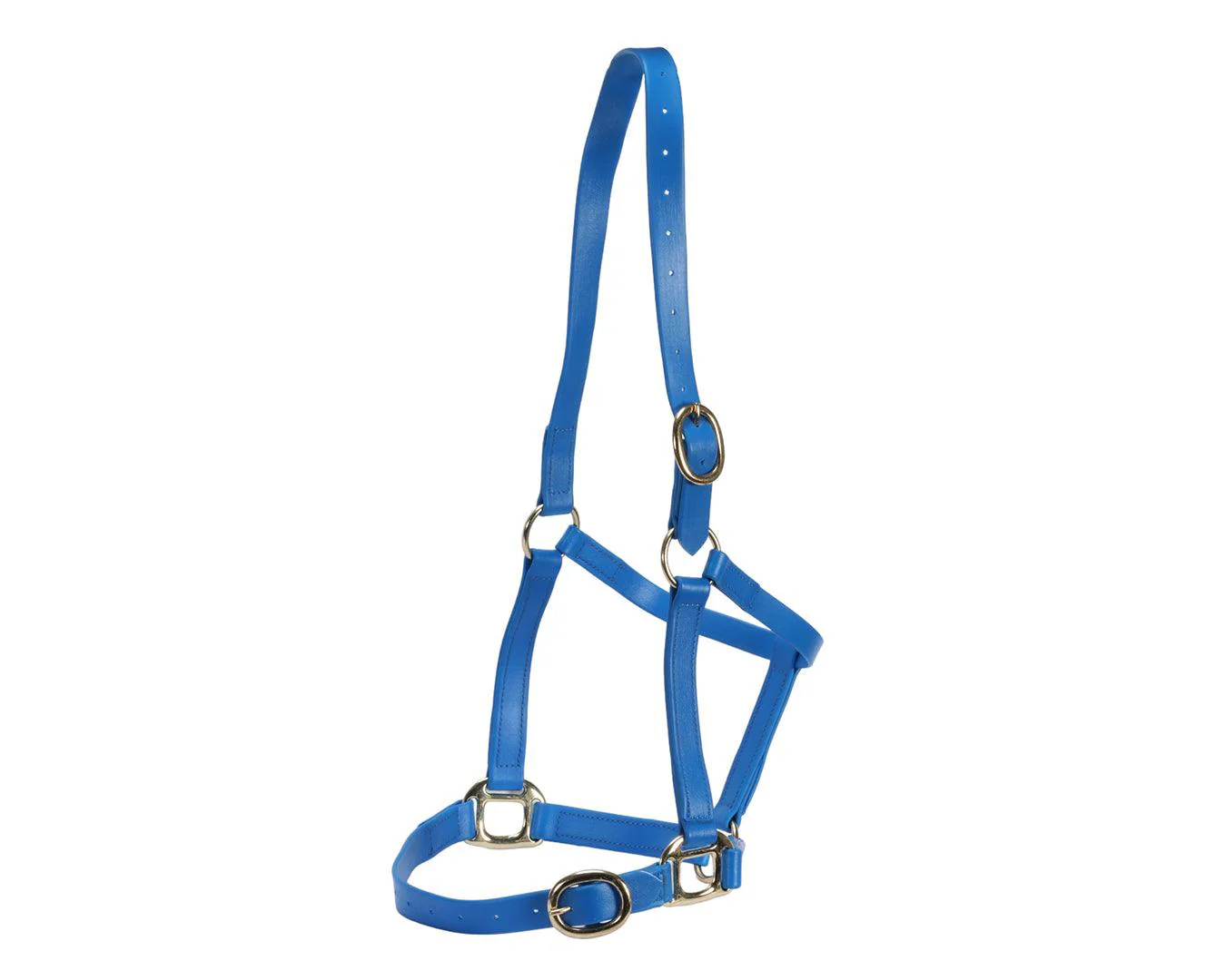 Horse Sense 1" PN Halter Brass