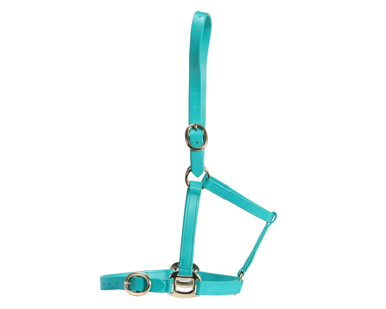 Horse Sense 1" PN Halter Brass - Image 10
