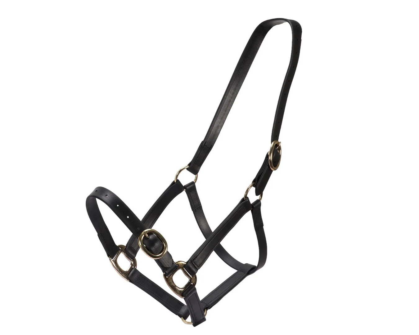 Horse Sense 1" PN Halter Brass - Image 12